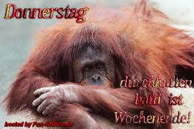 Durchsuche unsere riesige sammlung von wunderschönen bildern und teile sie mit freunden auf whatsapp, kwick oder facebook Donnerstag Facebook Bilder Whatsapp Bilder Gb Bilder Jappy Bilder