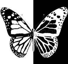 Black And White Silhouette Black And White Butterfly Clipart News Butterfly Butterfly Cartoon Black And White Butterfly Black And White Black And White Background Black And White Painting