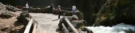 You can reduce stress while saving time and money. Brink Of The Upper Falls Trail Yellowstone River Yellowstone National Park Hikespeak Com