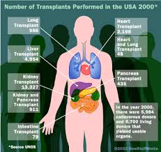 How Organ Transplants Work Organ Transplant Kidney Transplant Heart Transplant