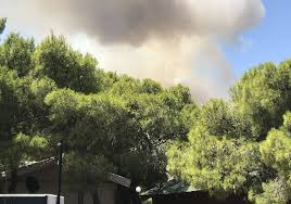 Τα εντυπωσιακά πολύχρωμα μανδράκια της μήλου (vid) ▸ φωτιά στο. Fwtia Sto Layrio Skai