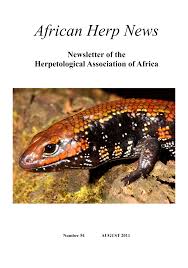 Image result for Hermannia quartiniana