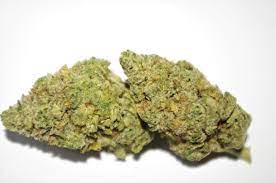 Mary Jane Express Posts Facebook