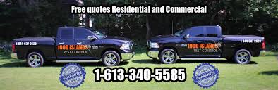 Serving rockingham county since 1984. Home 1000 Islands Pest Control