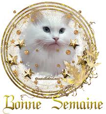 Résultat de recherche d'images pour "gif semaine"