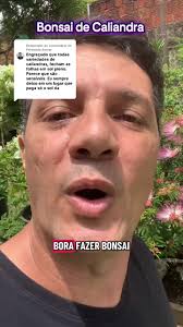 Respondendo a @Fernando Avelar A Caliandra, além das flores vermelhas  espetaculares, tem um truque incrível: suas folhas se fecham quando você  toca! Esse fenômeno se chama tigmonastia ou seismonastia ...