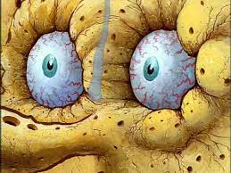 All memes › spongebob i don't need it. Spongebob Don T Need It Original Youtube
