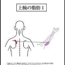 天城流湯治法 顔診法 うつ顔 湯治 天城 健康 イラスト