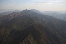 Image result for Agelanthus myrsinifolius