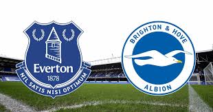Watch highlights and full match hd: Everton Vs Brighton Recap Own Goal And Cenk Tosun Strike Give Blues 2 0 Win Over 10 Man Visitors Liverpool Echo