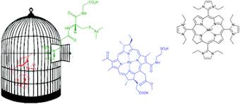 These are a good fit for most dining rooms, generally ranging from 36 to 40 inches wide and 48 to 108 inches long. Metal Based Drugs That Break The Rules Dalton Transactions Rsc Publishing