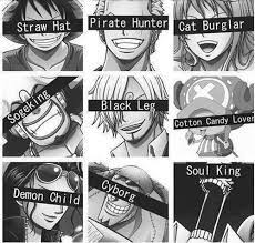 The Strawhat Crew One Piece Anime One Piece Crew One Piece Manga