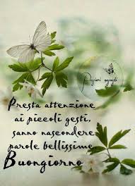 Immagini Buongiorno Nuove Gratis 8 Buongiorno Buona Giornata Citazioni Buongiorno