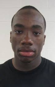 2010 Illinois All-Area Football Team