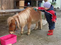 Während die eltern den sommer in vollen zügen genießen, können kinder hier fernab von … Sonnblickranch Neuhausen Auf Den Fildern Ponyreiten Ausflug Neue Wege