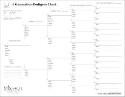 Family Pedigree Template Arzneipflanze Info