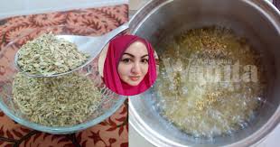 Australian gourmet traveller malaysian banquet recipe for duck with cumin (itik jintan putih). Air Rebusan Jintan Manis Bagus Untuk Masalah Angin Gastrik Perut Mingguan Wanita