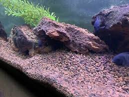 Perfect symmetry really doesn't occur in natural scenes. 1 4in Red Lava Rock Aquarium 24lb Natural Filter Aquascape Substrate Ebay
