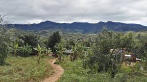 Every major city and every provincial capital was attacked. Top 6 Things To Do In Kontum Vietnam