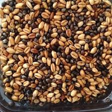 Koy Pazarinda Buldugum Saglikli Atistirmalik Cedene Kus Yemi Gibi Citir Citir Gidiyor Cedene Cedene Cerez Atisti Goruntuler Ile Saglikli Beslenme Beslenme Kus Yemi