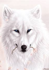 Deviantart is the world's largest online social. 220 Wolf Gifs Ideas Wolf Beautiful Wolves Wolf Pictures