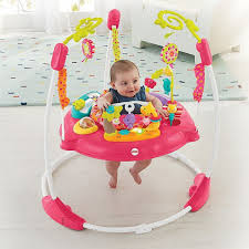 Find baby bath tub in baby items | buy or sell used baby items locally in toronto (gta). Fisher Price Pink Petals Jumperoo Bed Bath Beyond Baby Girl Toys Best Baby Jumper New Baby Products