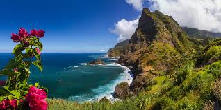 Ne náhodou se madeiře v portugalsku říká „ostrov věčného jara. Madeira Cedok