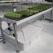 Hydroponic Ebb And Flow System 399 Hydroponic Growing Hydroponics Microgreens
