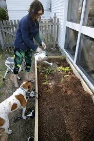 Maybe you would like to learn more about one of these? How To Build A Raised Garden Bed Cheap Easy Diy