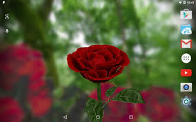 You can rotate flower with gestures by swiping through your home screens and scene will change its rotation according to touches. 3d Rose Live Wallpaper Free For Android Apk Download