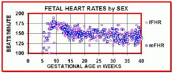 Fetal Heart Rate Chart Babycenter Regarding Fetal Heart