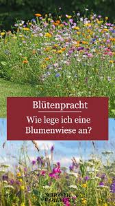 Weitere ideen zu blumen wiese, blumenwiese, pflanzen. Blumenwiese Anlegen Blumenwiese Anlegen Blumen Wiese Blumenwiese