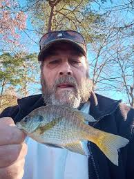 Any fish been caught recently in the rivers ?