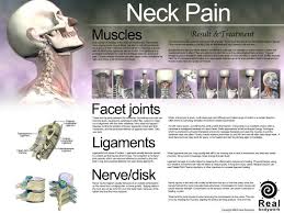 Pin On Sports Ortho Pt