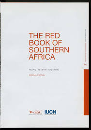 Image result for Cassipourea fanshawei