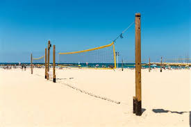 We did not find results for: Beach Volleyball Court Diagram Shefalitayal