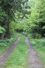 If the driveway doesn't have a proper drainage system you may notice that after rain and snow, your gravel has been washed away from the driveway, potholes have formed or that flooding is occurring. Water Pump Picture Of Wilderness State Park Carp Lake Tripadvisor