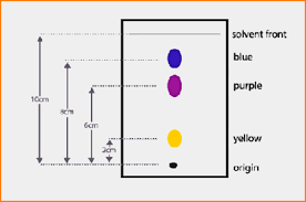 what is paper chromatography principle and procedure