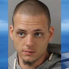Carjacker steals mom's vehicle, pushes son in Goodlettsville: police