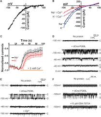 The film is inspired by true events surrounding a surfing community in a small beach town, cox's bazar in bangladesh where ayesha, the first female. Molecular Understanding Of Calcium Permeation Through The Open Orai Channel