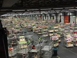 119 flowers jobs available in san jose, ca on indeed.com. 97 Flower Markets Around The World Ideas Flower Market Flowers Around The Worlds