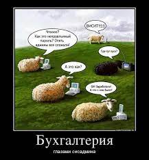 С днем бухгалтера поздравляю в этот день! Demotivatory S Dnem Buhgaltera Rzhachnye I Smeshnye Smotret I Skachat Besplatno Part 337