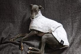 Check spelling or type a new query. Pin En Whippet Love