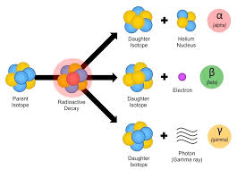 Radiometric dating works by measuring how much a radioactive material has decayed, and using its known decay rate to calculate when the material was solidified. Radioactive Dating Bioninja