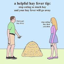 Lpt Easy Way To Stop Hay Fever Shittylifeprotips