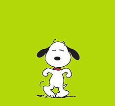 Die busankunft des #hsv wird nach den flaschenwürfen im vergangenen jahr von der poliz. 290 Gif Ideas In 2021 Gif Bones Funny Snoopy Dance