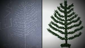 The series is history's no1 program and the top cable offering on tuesday nights, and we all know high ratings. Regarder The Curse Of Oak Island Saison 6 Episode 22 En Streaming Betaseries Com