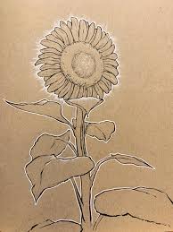 Gold sumi ink (or any gold watercolor) 1. Sunflower With Pen And Ink Botanicalillustration