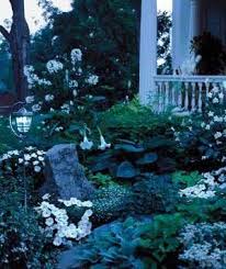 A Guide To Gardens That Look Best After Dark Moon Garden Night Blooming Flowers Night Garden