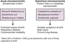 Image result for Chorioamnionitis